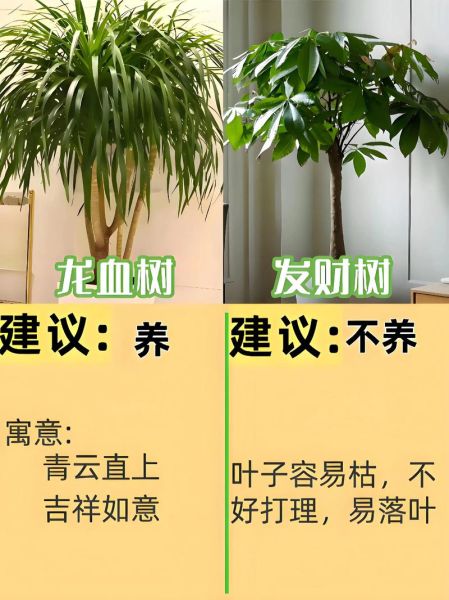 2024年养什么最赚钱_新手如何低成本起步-第1张图片-俊逸知识馆 2024年养什么最赚钱_新手如何低成本起步-第1张图片-俊逸知识馆