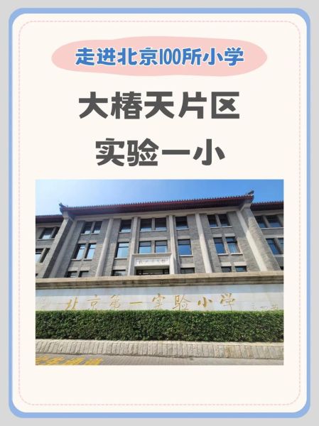 北京市第一实验小学怎么样_招生条件是什么-第1张图片-俊逸知识馆 北京市第一实验小学怎么样_招生条件是什么-第1张图片-俊逸知识馆