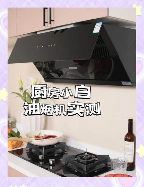 帅康厨电怎么样_帅康油烟机质量好吗-第3张图片-俊逸知识馆