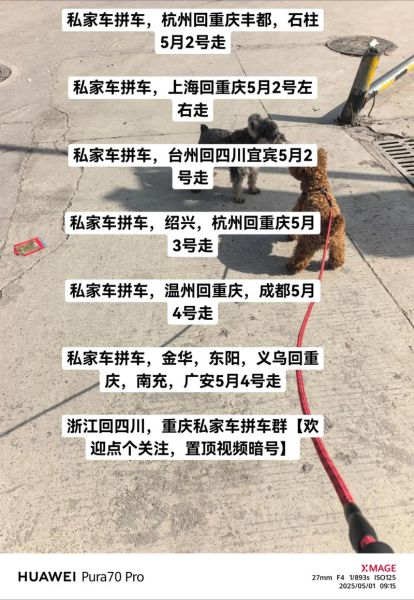 拼车怎么样_拼车安全吗-第2张图片-俊逸知识馆