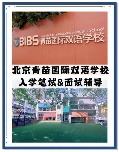 北京青苗国际学校学费_如何申请-第1张图片-俊逸知识馆 北京青苗国际学校学费_如何申请-第1张图片-俊逸知识馆
