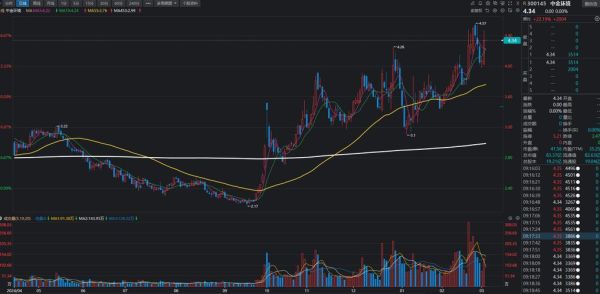 300145股票行情分析_未来走势预测-第3张图片-俊逸知识馆 300145股票行情分析_未来走势预测-第3张图片-俊逸知识馆