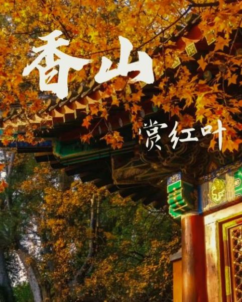 北京香山今天穿什么_香山红叶最佳观赏时间-第2张图片-俊逸知识馆 北京香山今天穿什么_香山红叶最佳观赏时间-第2张图片-俊逸知识馆