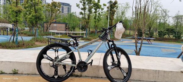 凤凰自行车怎么样_凤凰自行车质量好吗-第2张图片-俊逸知识馆 凤凰自行车怎么样_凤凰自行车质量好吗-第2张图片-俊逸知识馆