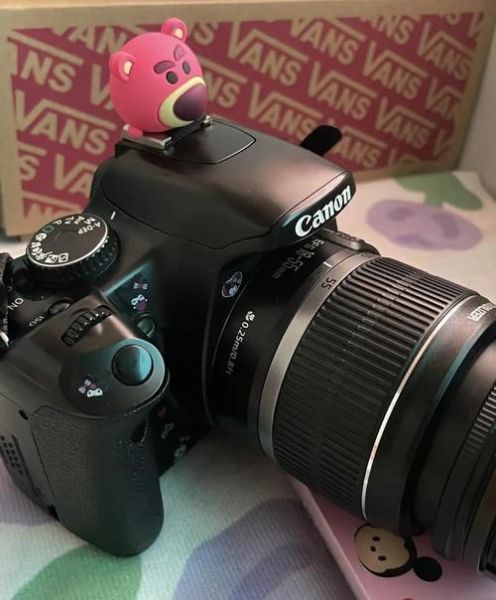 佳能450d怎么样_佳能450d值得买吗-第1张图片-俊逸知识馆