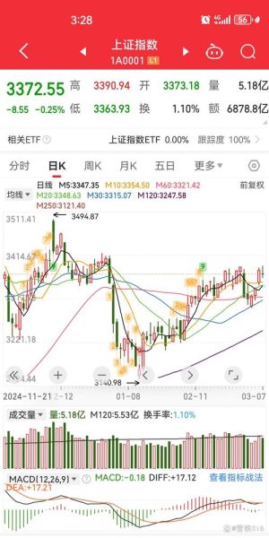 600380股票走势分析_未来能涨到多少-第3张图片-俊逸知识馆