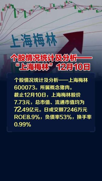上海梅林股票值得长期持有吗_上海梅林股票未来走势分析-第1张图片-俊逸知识馆