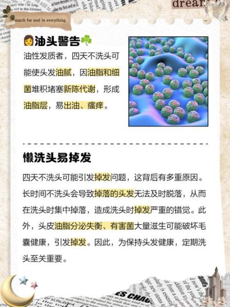 一个月不洗头会怎么样_头皮会臭吗-第1张图片-俊逸知识馆