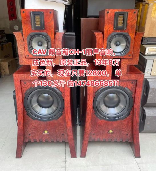 丽声音响怎么样_丽声音响值得买吗-第1张图片-俊逸知识馆 丽声音响怎么样_丽声音响值得买吗-第1张图片-俊逸知识馆