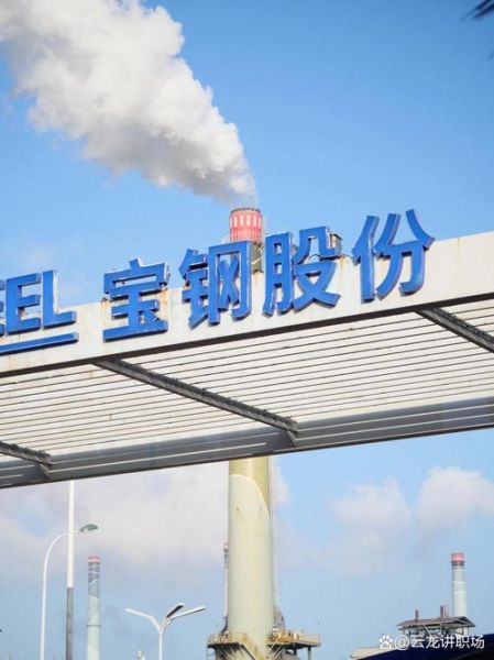 宝钢包装股票值得长期持有吗_宝钢包装股票最新行情-第3张图片-俊逸知识馆