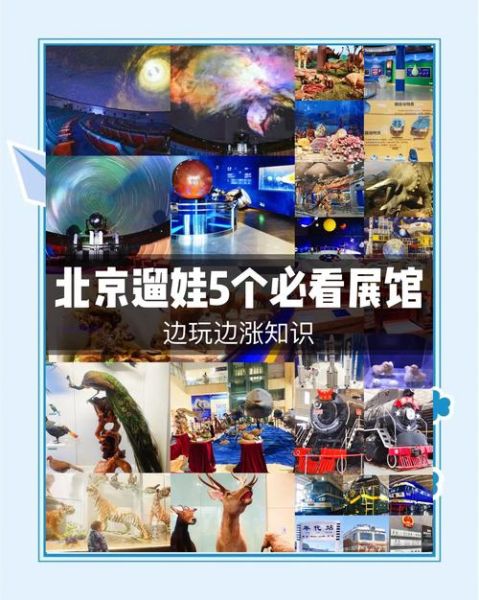 北京博物馆预约攻略_带孩子去哪个好-第3张图片-俊逸知识馆