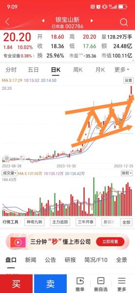 银宝山新股票怎么样_值得长期持有吗-第1张图片-俊逸知识馆