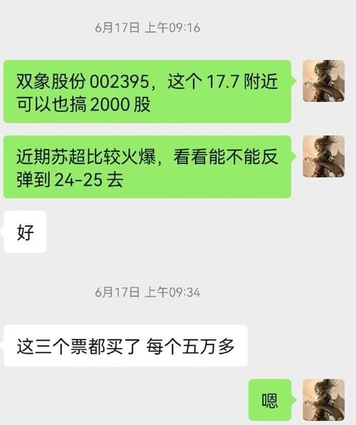 双象股份股票怎么样_双象股份值得投资吗-第3张图片-俊逸知识馆