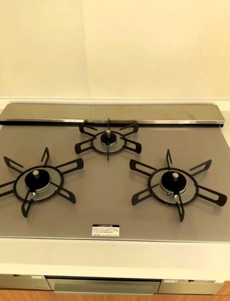 林内燃气灶怎么样_林内燃气灶哪款好-第1张图片-俊逸知识馆