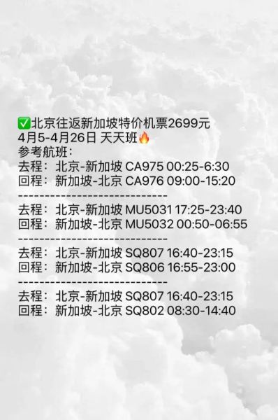 北京到新加坡机票多少钱_什么时候最便宜-第1张图片-俊逸知识馆