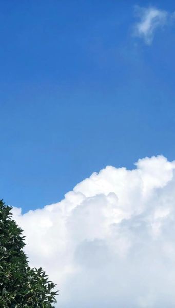 8P拍照怎么样_苹果8P拍照效果好吗-第1张图片-俊逸知识馆 8P拍照怎么样_苹果8P拍照效果好吗-第1张图片-俊逸知识馆