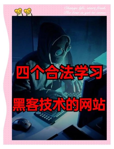 黑客如何入侵网站_网站被黑后怎么办-第2张图片-俊逸知识馆