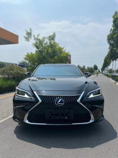 es300怎么样_es300值得买吗-第1张图片-俊逸知识馆 es300怎么样_es300值得买吗-第1张图片-俊逸知识馆