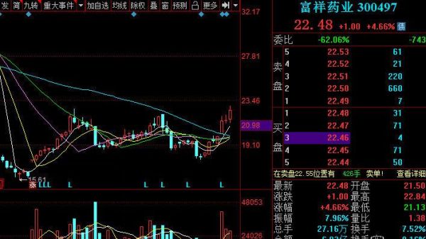 300497股票今日行情_富祥药业走势分析-第2张图片-俊逸知识馆