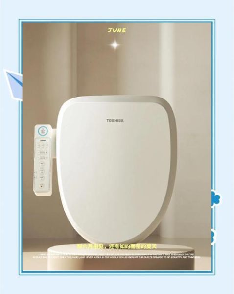 智能马桶盖怎么样_智能马桶盖哪个品牌好-第2张图片-俊逸知识馆