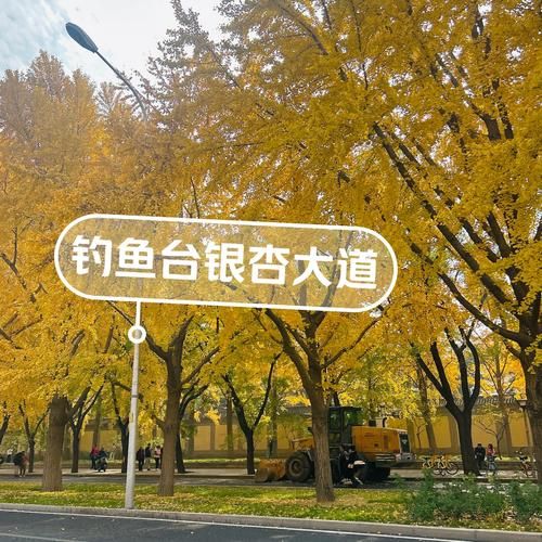 北京钓鱼台门票多少钱_北京钓鱼台预约攻略-第1张图片-俊逸知识馆