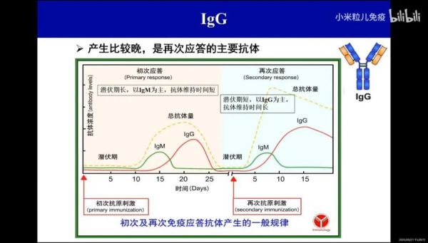 igg股票值得买吗_igg股价走势分析-第3张图片-俊逸知识馆