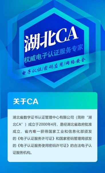 ca证书怎么申请_ca证书有什么用-第3张图片-俊逸知识馆 ca证书怎么申请_ca证书有什么用-第3张图片-俊逸知识馆