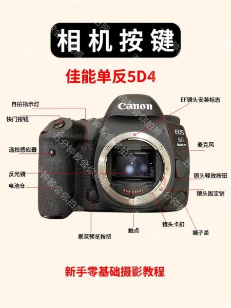 5d4拍视频怎么样_佳能5d4视频拍摄技巧-第1张图片-俊逸知识馆