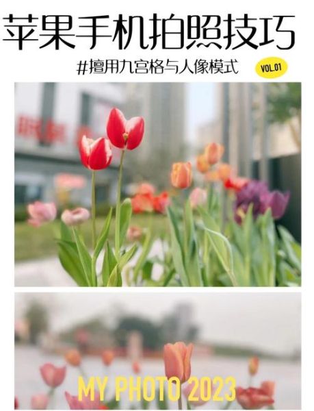 苹果拍怎么样_苹果拍照效果好吗-第1张图片-俊逸知识馆 苹果拍怎么样_苹果拍照效果好吗-第1张图片-俊逸知识馆