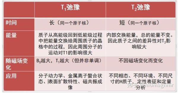 t1怎么样_t1值正常范围是多少-第3张图片-俊逸知识馆