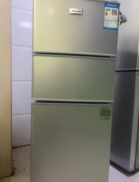 日普冰箱怎么样_日普冰箱质量好吗-第2张图片-俊逸知识馆