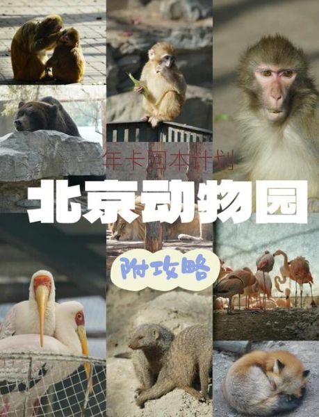 北京动物园门票多少钱一张_2024最新价格-第1张图片-俊逸知识馆 北京动物园门票多少钱一张_2024最新价格-第1张图片-俊逸知识馆