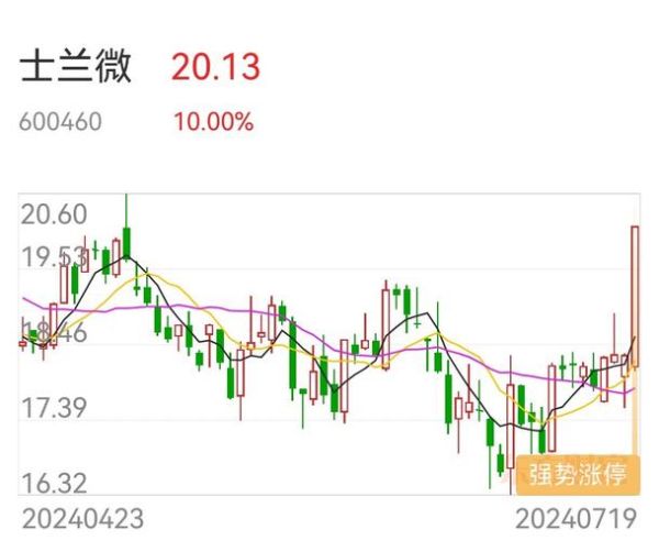 士兰微股票值得长期持有吗_士兰微股票未来走势分析-第3张图片-俊逸知识馆