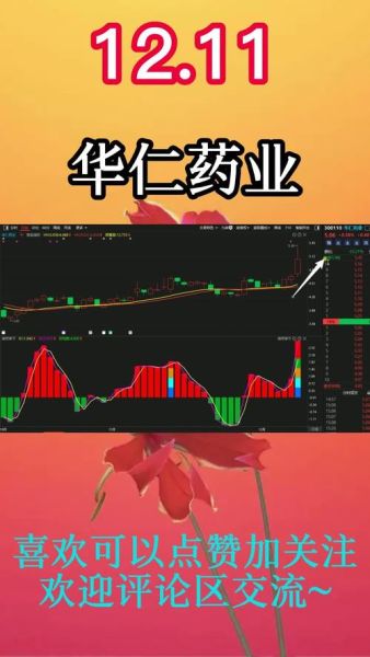 华仁药业股票值得买吗_华仁药业未来前景如何-第2张图片-俊逸知识馆