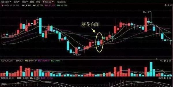 向日葵股票行情_今日走势分析-第2张图片-俊逸知识馆 向日葵股票行情_今日走势分析-第2张图片-俊逸知识馆