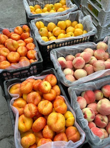 北京水果批发市场哪里便宜_当季水果有哪些-第3张图片-俊逸知识馆