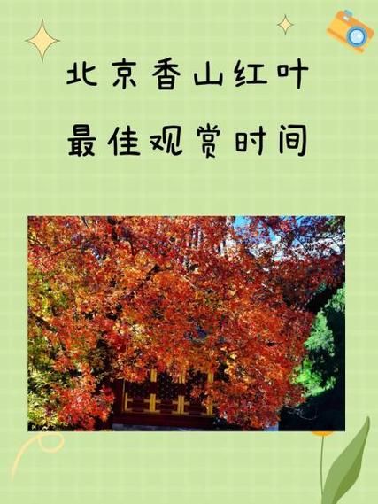北京香山公园门票价格_香山红叶什么时候最红-第1张图片-俊逸知识馆 北京香山公园门票价格_香山红叶什么时候最红-第1张图片-俊逸知识馆