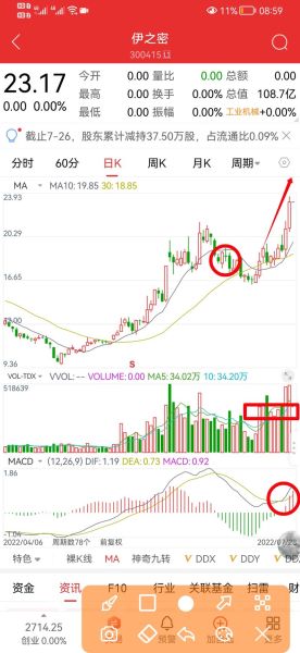 伊之密股票值得长期持有吗_伊之密股票未来走势如何-第1张图片-俊逸知识馆