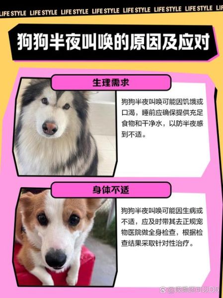 唤唤怎么样_唤唤靠谱吗-第1张图片-俊逸知识馆