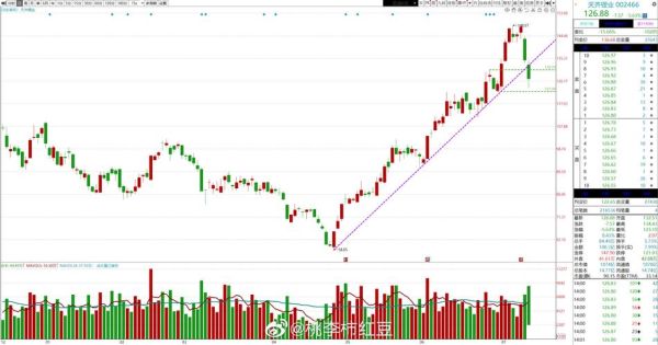 天齐锂业股票还能买吗_天齐锂业未来走势如何-第3张图片-俊逸知识馆