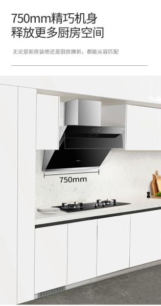 帅康抽油烟机怎么样_帅康油烟机哪款好用-第2张图片-俊逸知识馆