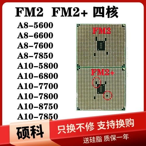 a8处理器怎么样_a8处理器性能如何-第3张图片-俊逸知识馆