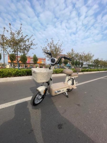 立马电动车质量怎么样_立马电动车耐用吗-第1张图片-俊逸知识馆