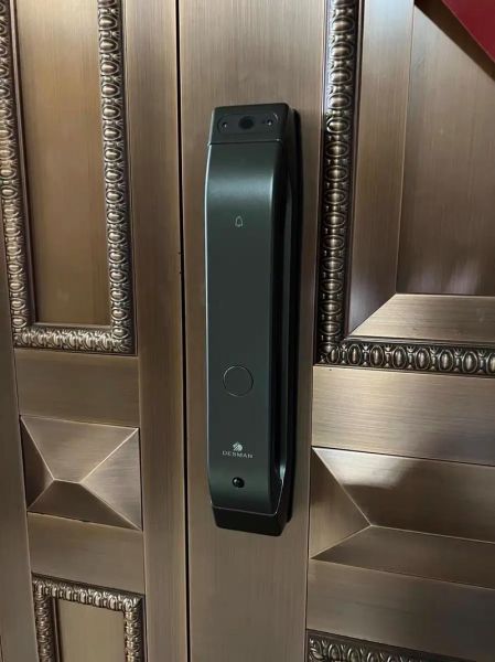 德施曼怎么样_德施曼智能锁值得买吗-第2张图片-俊逸知识馆