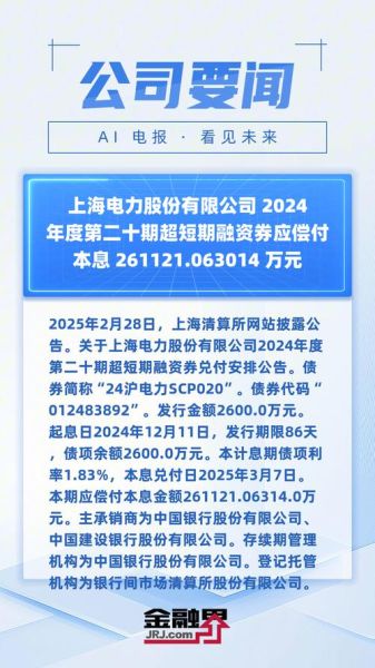 上海电力股票怎么样_值得长期持有吗-第1张图片-俊逸知识馆