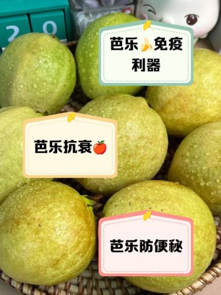 乐果怎么样_乐果毒性大吗-第1张图片-俊逸知识馆 乐果怎么样_乐果毒性大吗-第1张图片-俊逸知识馆