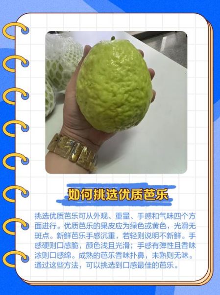 乐果怎么样_乐果毒性大吗-第3张图片-俊逸知识馆 乐果怎么样_乐果毒性大吗-第3张图片-俊逸知识馆