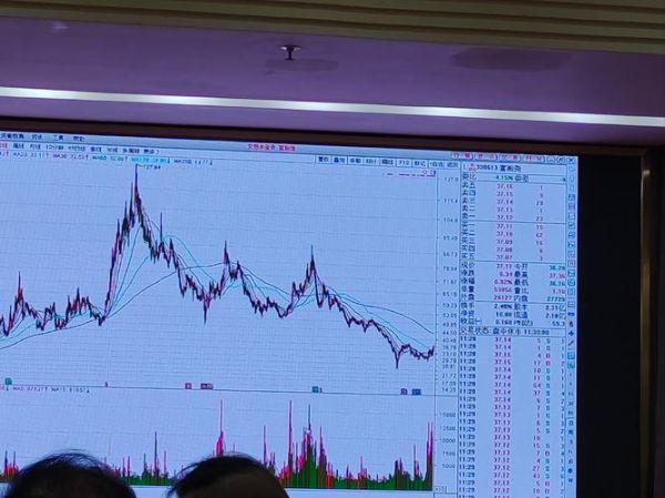 600601股票行情_未来走势如何-第3张图片-俊逸知识馆