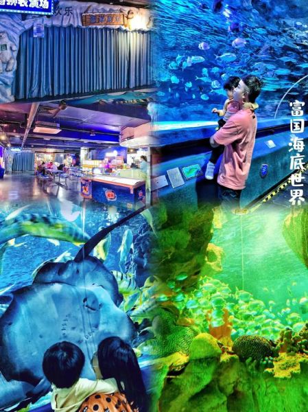 北京工体富国海底世界门票价格_值得去吗-第3张图片-俊逸知识馆 北京工体富国海底世界门票价格_值得去吗-第3张图片-俊逸知识馆