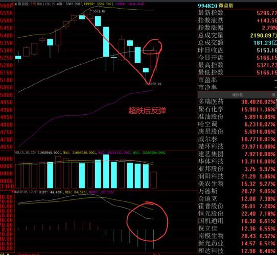 英博尔股票值得长期持有吗_英博尔股票未来走势分析-第1张图片-俊逸知识馆